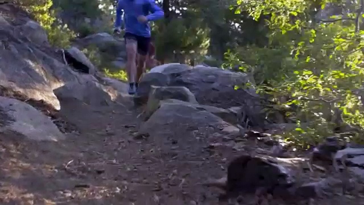 360.Merrell Ascend Glove Men