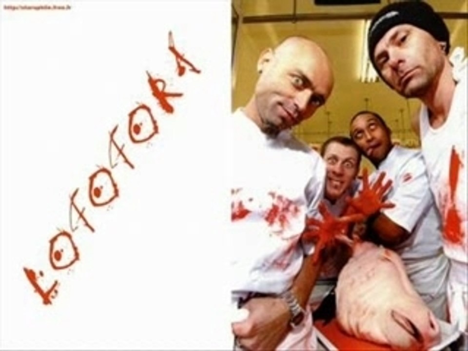 LOFOFORA MEMOIRE DE SINGES TOUS LES MEMES