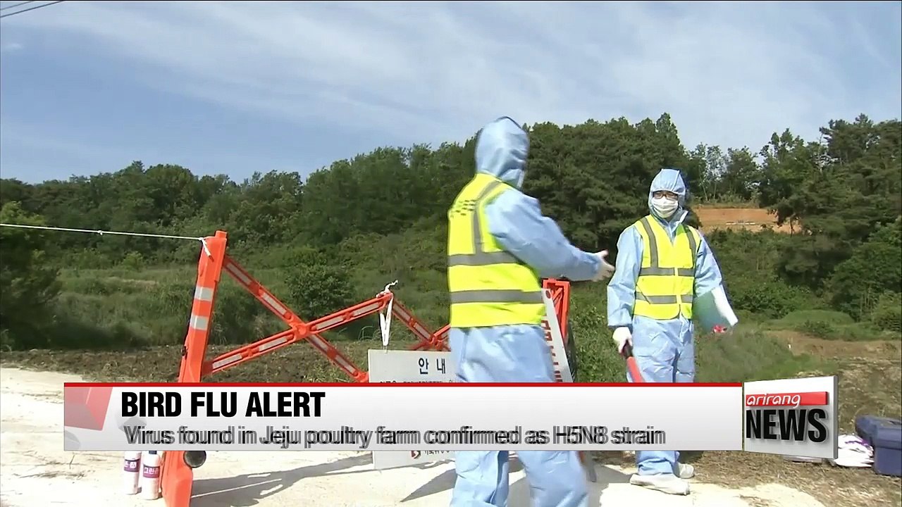 Bird flu cases reported at over a dozen farms; poultry culled as precaution