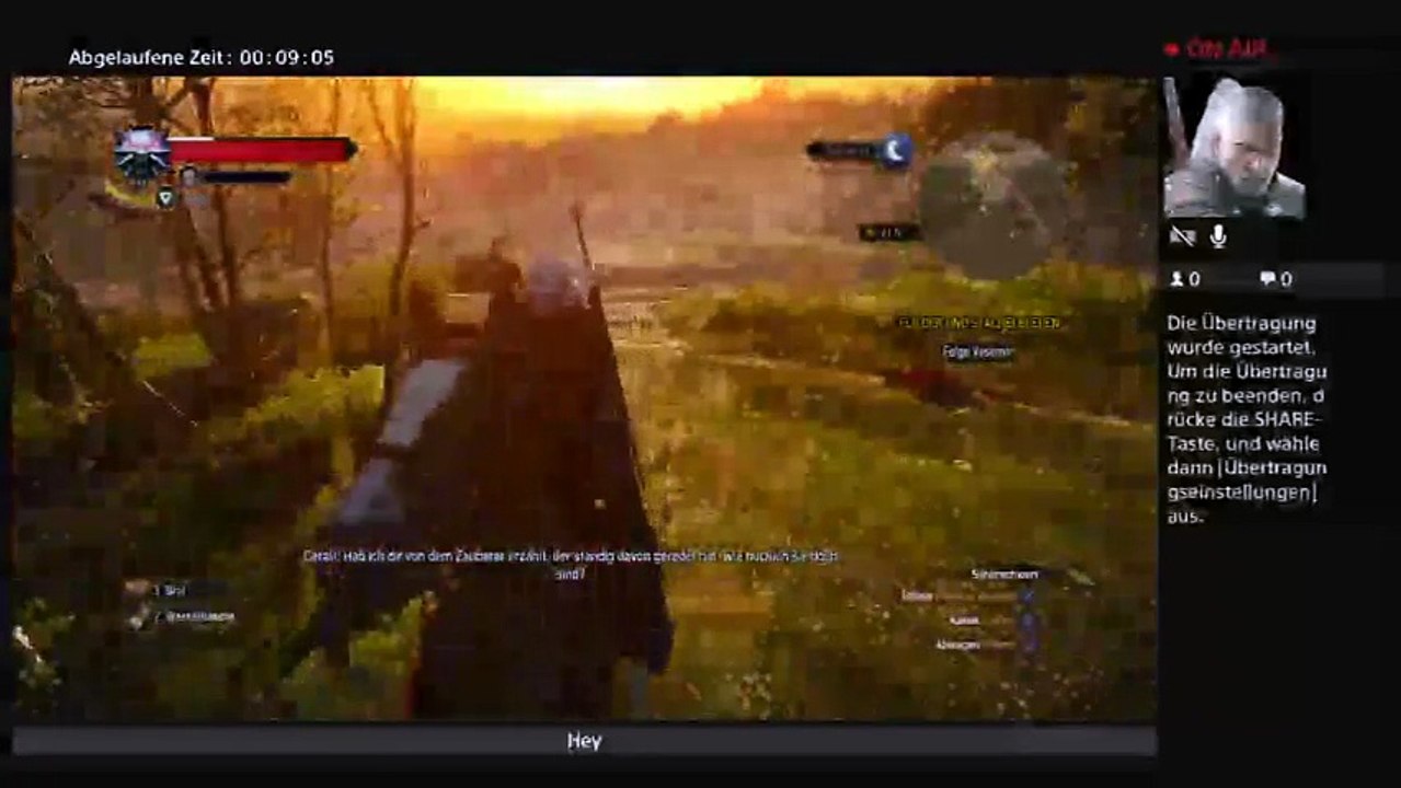 Witcher wild Hunt#Der Traum (28)