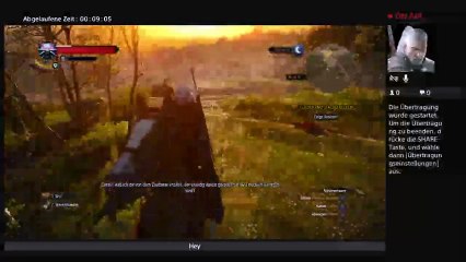 Witcher wild Hunt#Der Traum (28)