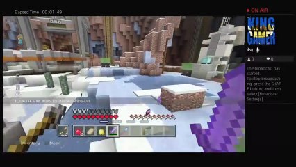 Minecraft Hungergames Let's Play Big Thank you