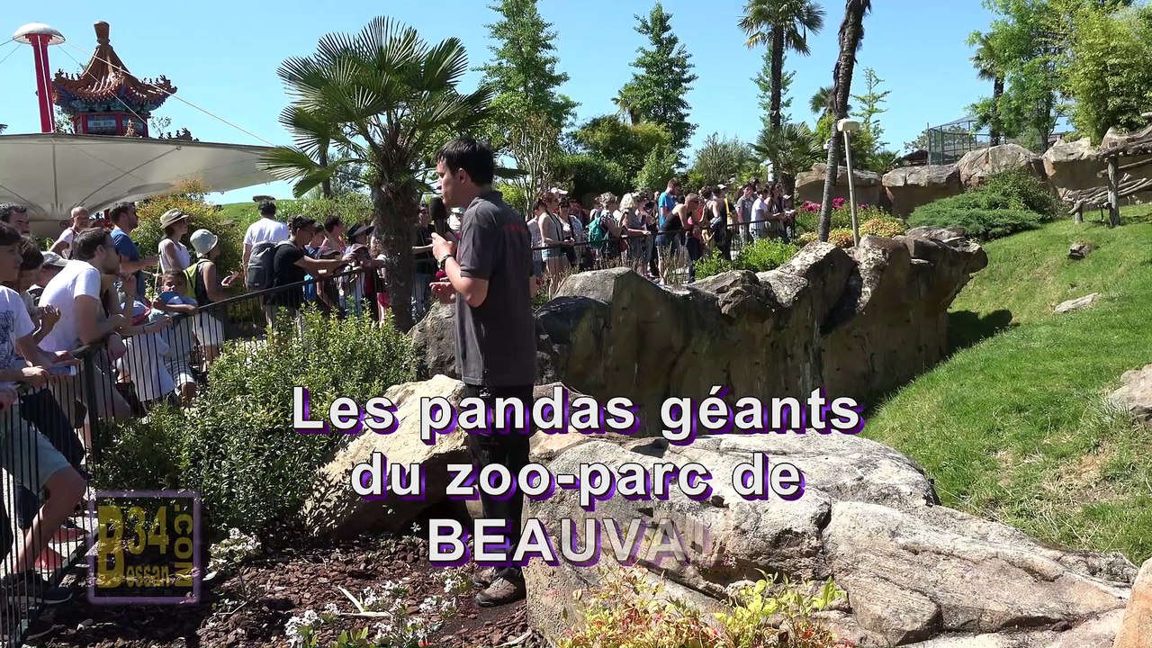 Sans Titre
