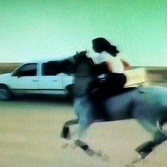 Egyptian Man Horse Rides