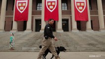 Harvard Rescinds Admissions Offers for At Least 10 Students for Vulgar Memes