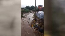 Izmir Dolu ve Sağanak Yağmur Tarım Arazilerini ve Fidanlıkları Vurdu