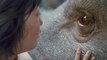 Okja - Video detrás de cámaras - Estreno en Netflix el 28 de junio