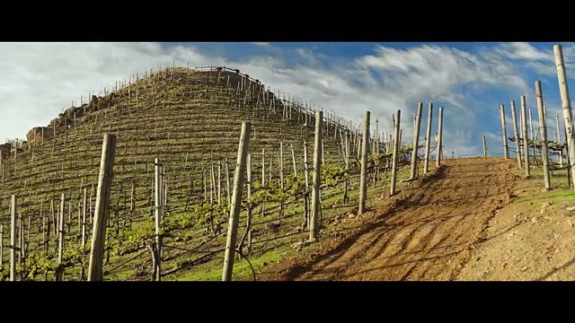 visions trailer deutsch german hd