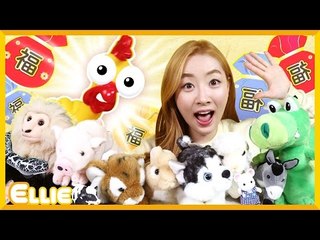 [특별한이야기] 엘리의 '12간지가 된 동물들' 이야기 | 캐리 앤 북스