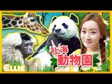 愛麗的上海動物園遊記 |  愛麗和故事  EllieAndStory