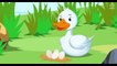 The Ugly Duckling _ Full Movi Fairy Tales _ Bedtime Stories For Kids