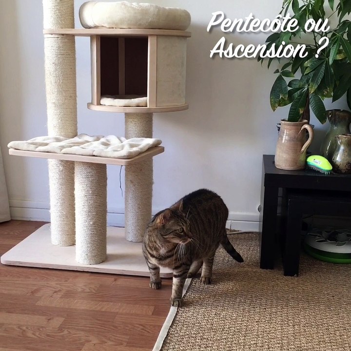 Hector confond Pentecôte et Ascension