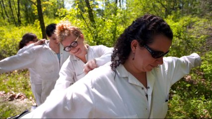 US: Lyme disease experts warn ticks are spreading