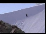 ski - cèdres du Liban
