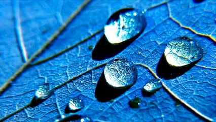 Natures Sounds Rain with Thunder - 15 Minutes Without Music