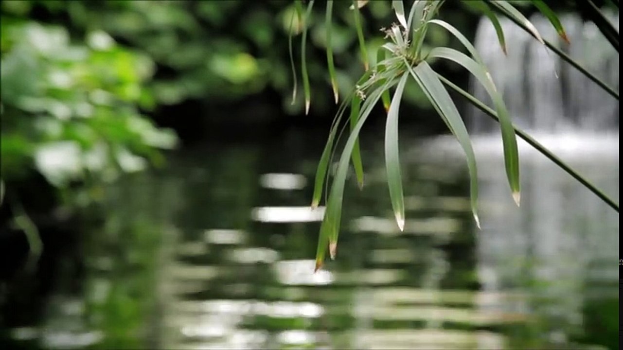 15 Minute Meditation Timer Zen Meditation Music Sounds of Nature, Chimes and Wooden Flute