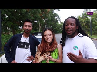 Arnold just GOT PRANKED with a snake!