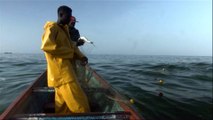 Senegalese scientists monitor climate change impact on the ocean