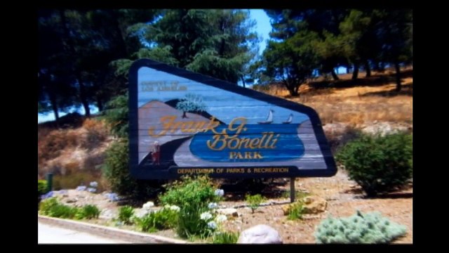 Pug Petite in San Dimas