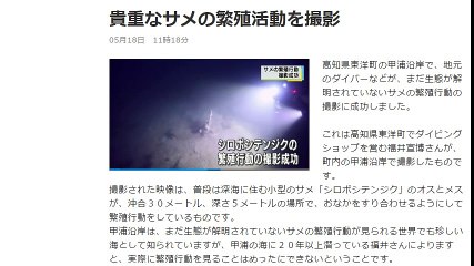 貴重なサメの繁殖活動を撮影 2017年05月18日