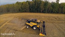 Canola Harvest