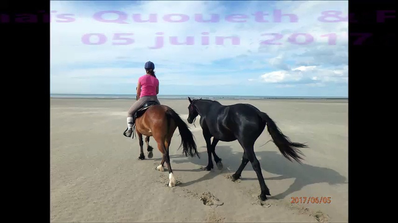 Plage Anaïs Quoueth Flicka 5 juin 2017