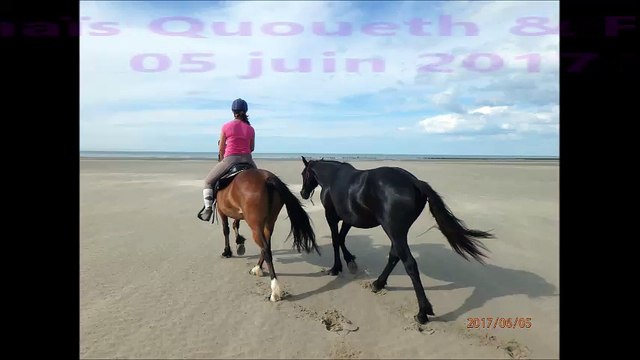 Plage Anaïs Quoueth Flicka 5 juin 2017