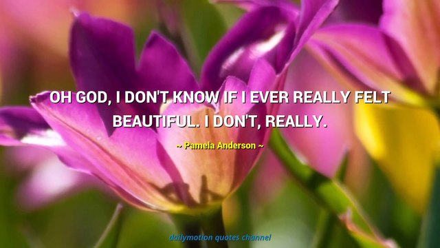 Pamela Anderson Quotes #4