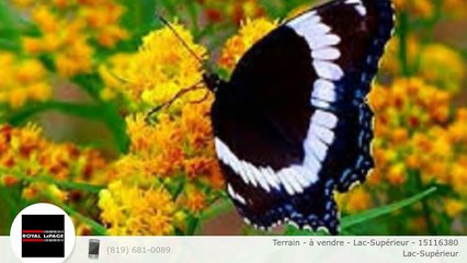 Terrain - à vendre - Lac-Supérieur - 15116380