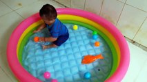 indoor playgkids ,Play in bath room with balls, Children p