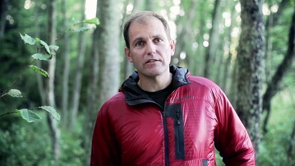 82.Helly Hansen - Helly Tech Baselayer