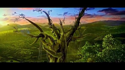 The Wishing Tree 2017