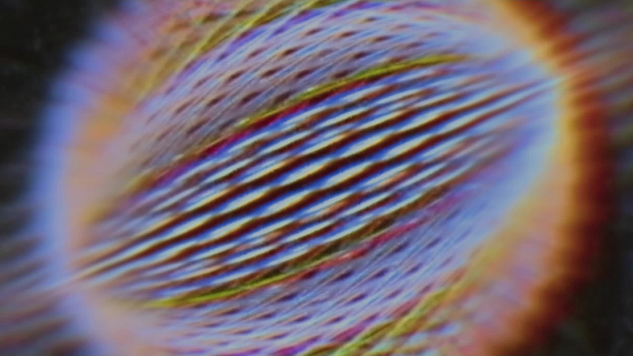 TOGA RECORDS - Los Headaches - Nada De Nada