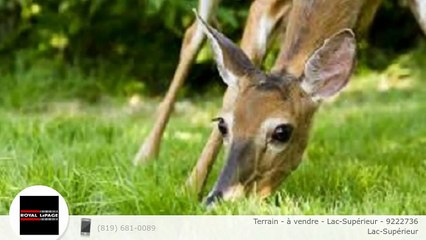 Terrain - à vendre - Lac-Supérieur - 9222736