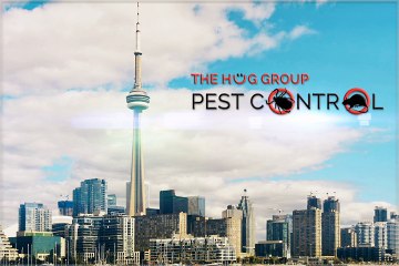 Residential Pest Control Services in Toronto | HUG GROUP