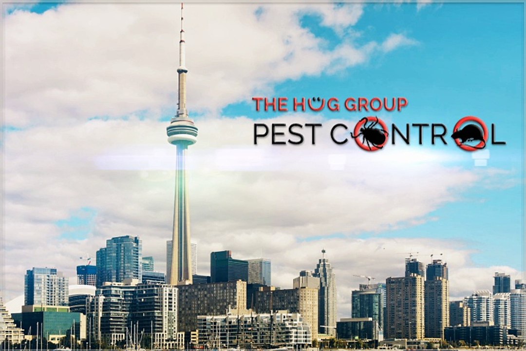 Residential Pest Control Services in Toronto | HUG GROUP