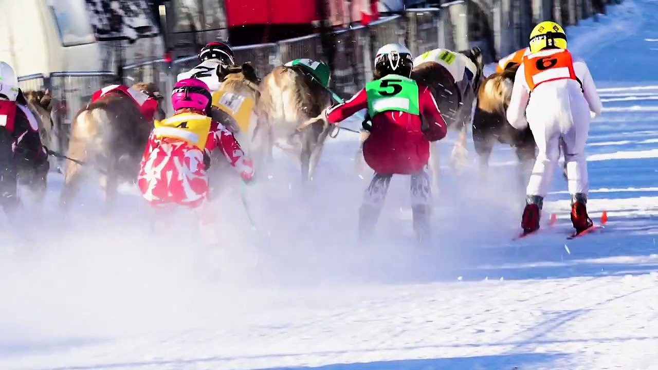 Reindeer Races in Rovaniemi area in Lapland Finland - Poroajot Rovaniemi Ranua Porokilpailut