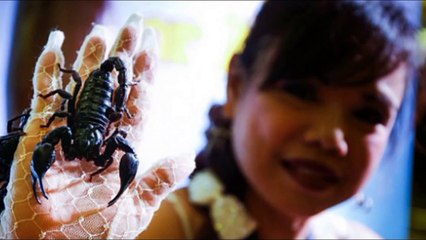 Cô gái Thái Lan để Bọ Cạp cực độc,bò trên mặt