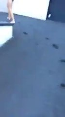 Rugby: 5 supporters pénètrent illégalement dans la maison de Morgan Para et plongent dans la piscine