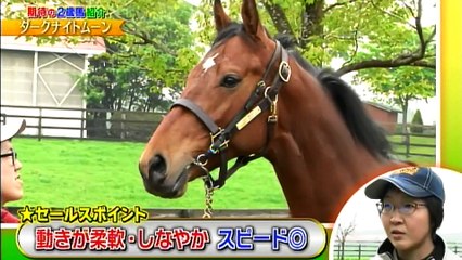 20170604 牧場期待の2歳馬 社台ファーム編