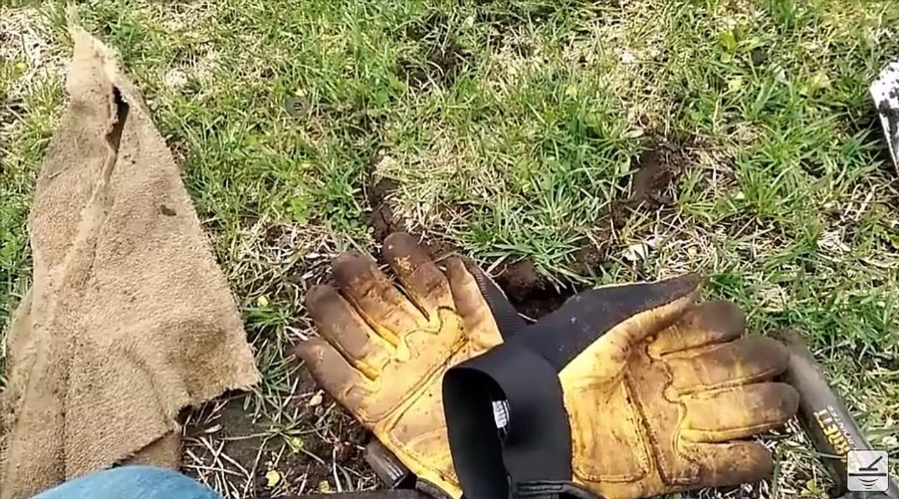 Coin Hunter