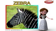 Zebra | 3D animated nursery rhymes for kids with lyrics | popular animals rhyme for kids | tortoise song | Animal songs | Funny rhymes for kids |