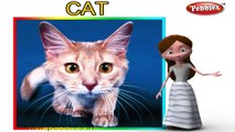 Cat | 3D animated nursery rhymes for kids with lyrics | popular animals rhyme for kids | cat song | Animal songs | Funny rhymes for kids | cartoon | 3D animation | Top rhymes of animals for children