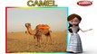 Camel | 3D animated nursery rhymes for kids with lyrics | popular animals rhyme for kids | camel song | Animal songs | Funny rhymes for kids | cartoon | 3D animation | Top rhymes of animals for children