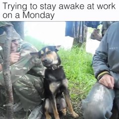 trying to stay awake in work