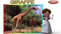 Giraffe | 3D animated nursery rhymes for kids with lyrics | popular animals rhyme for kids | Giraffe song | Animal songs | Funny rhymes for kids | cartoon | 3D animation | Top rhymes of animals for children