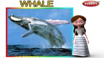 Whale | 3D animated nursery rhymes for kids with lyrics | popular animals rhyme for kids | Whale song | Animal songs | Funny rhymes for kids | cartoon | 3D animation | Top rhymes of animals for children