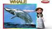 Whale | 3D animated nursery rhymes for kids with lyrics | popular animals rhyme for kids | Whale song | Animal songs | Funny rhymes for kids | cartoon | 3D animation | Top rhymes of animals for children