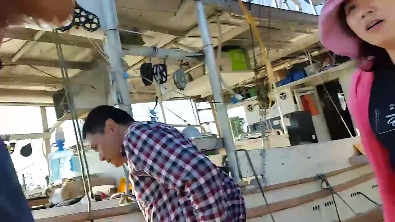 wheel fish funny