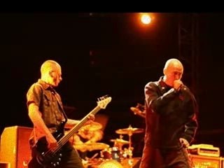 LOFOFORA MEMOIRE DE SINGES TROP